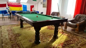 Stół bilardowy Bolo detal nr 1